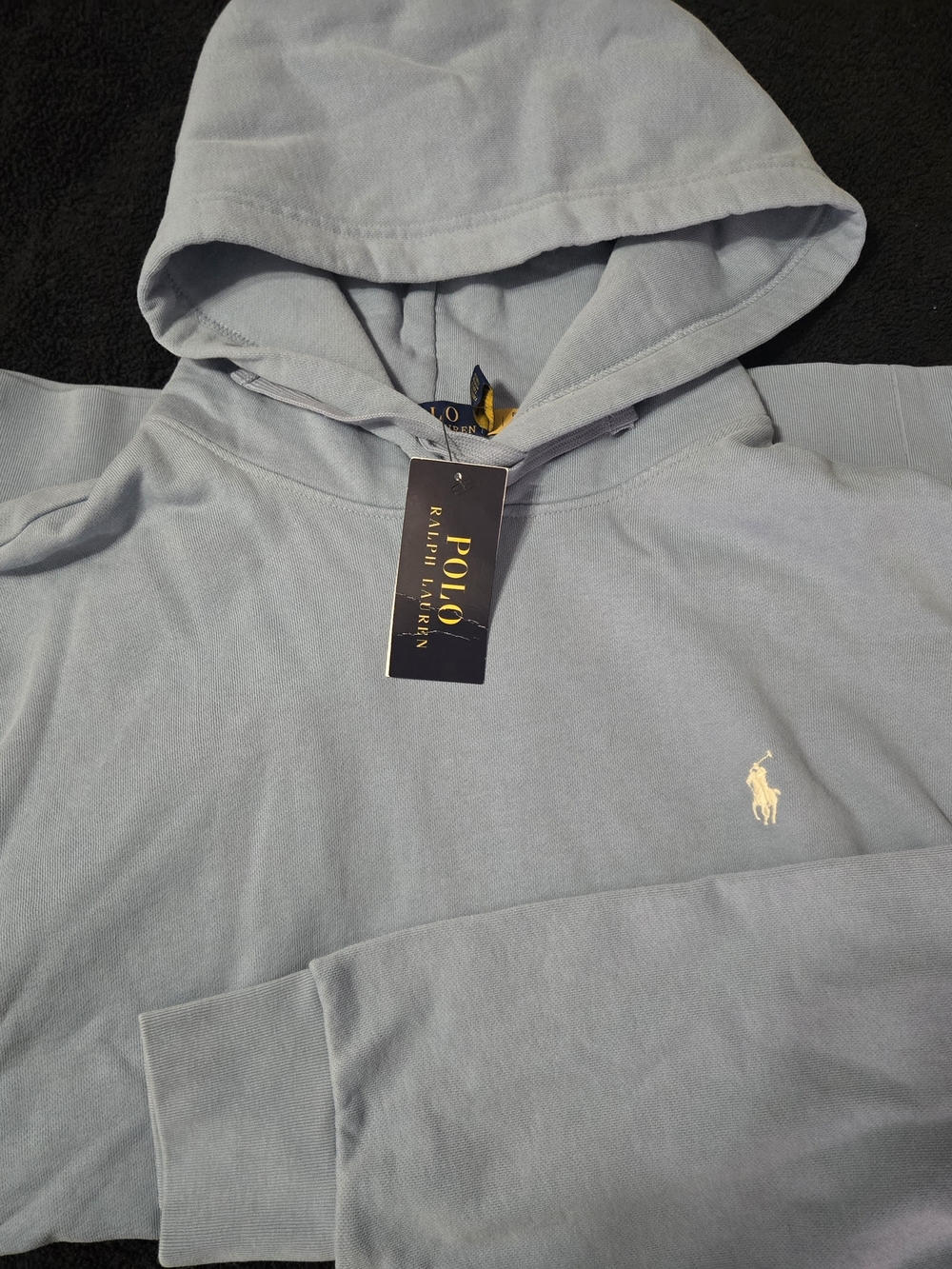 Polo by Ralph Lauren Pale Blue Hooded Sweatshirt with Embroidered Pony